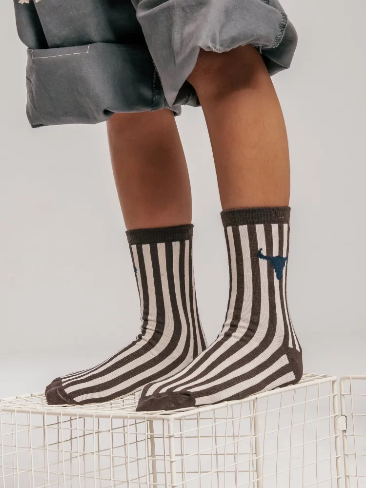 Booso kojinės STRIPED SOCKS brown